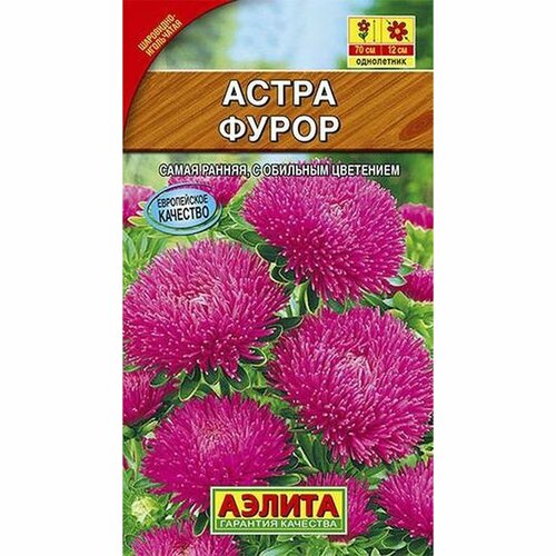 ���� ������ ����� ����� ���������-����������, ����������, (������) 0,2� ������ ������