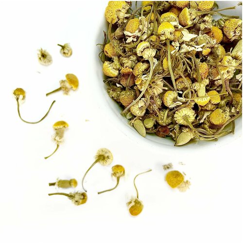 ���� ����� ����� ������� (��������, �������, ������������, ���������, �������), �����, 250 �� ������ ������