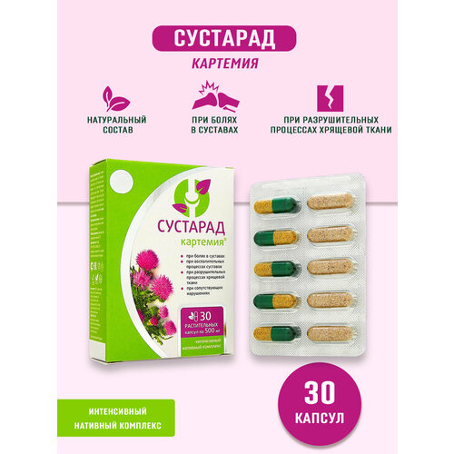 ���� ������ �������� ������� 0,5 �� �30 (������-���) ������ ������