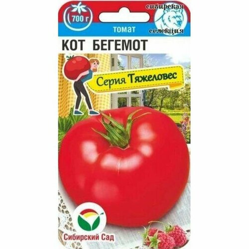 ���� ������ ����� ��� ������� (������������) ��. (��������� ���) 20�� ������ ������