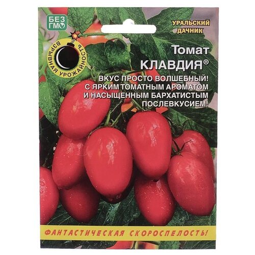 ���� ������ ��������� ������ ����� �������, 20 ��. ������ ������