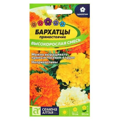 ���� ������ ������ �������� 