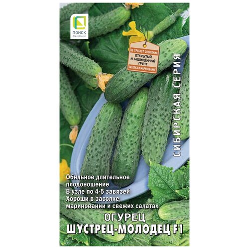 ���� ������ ����� ��������� ����� ������ �������-������� F1 12 �� ������ ������