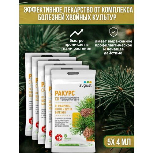 ���� �������� �� �������� ������� ��������, ��������� ��� ������ � �����, ��������� ������ 4 �� 5 �� ������ ������