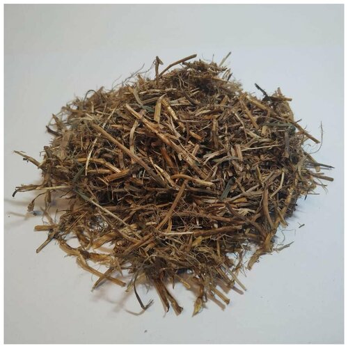 ���� ����� �������� (������) 500 � ������ ������