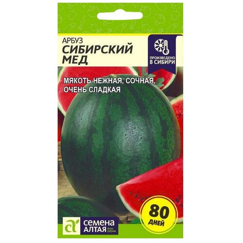 ���� ������ ������ ����� ����� ��������� ���, 1 �, 2 ��. ������ ������