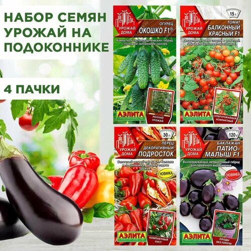 ���� ������ ����� ��������� �������, ������ 