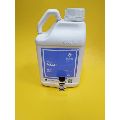 ���� �������� ����� �� ����� �� ������ � ��������� 10 �� ������ ������