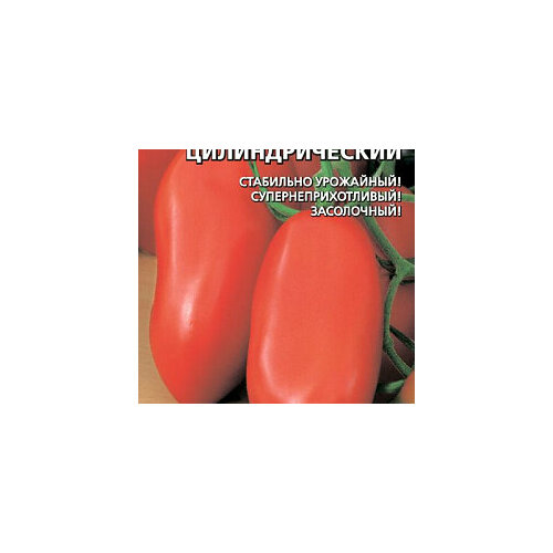 ���� ������ ����� ��������������� �������������� 20�� ��� ������ (����time) ������ ������