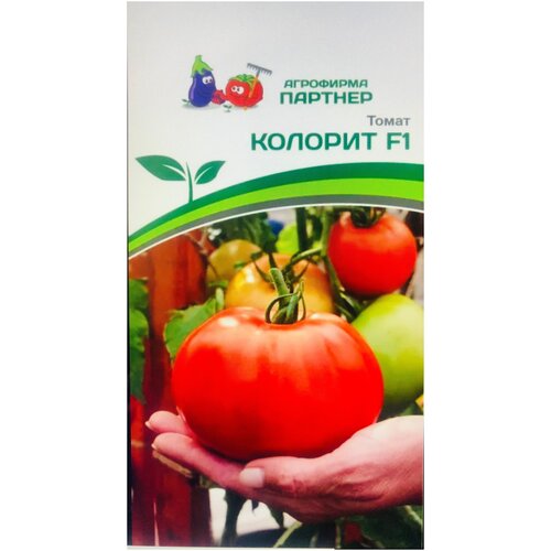 ���� ������ ������ 