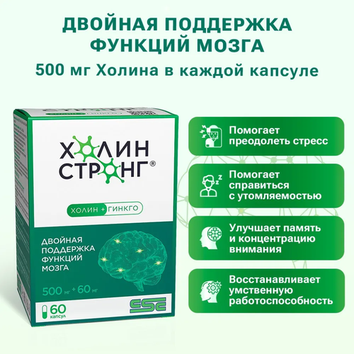 ���� ����� ������ ������� 0,588� 60�� ������ ������