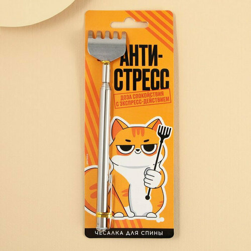 ���� ������� ��������������� ������� 