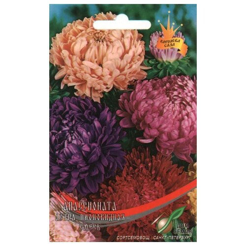 ���� ����� ����������� ����������� �����, 80 ����� ������ ������