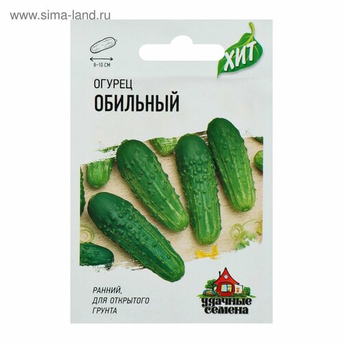 ���� ������ ������ 