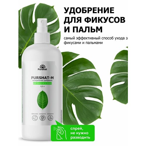 ���� ��������� ��� �������, ����� ����� ������ 500 �� ������ ������