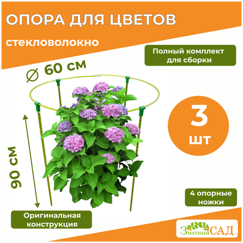 ���� ����� ��� ������ /��������������/ �������� ��� ����, �������������, 3 ��. ������ ������