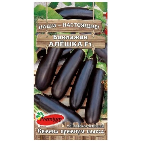 ���� ������ �������� 