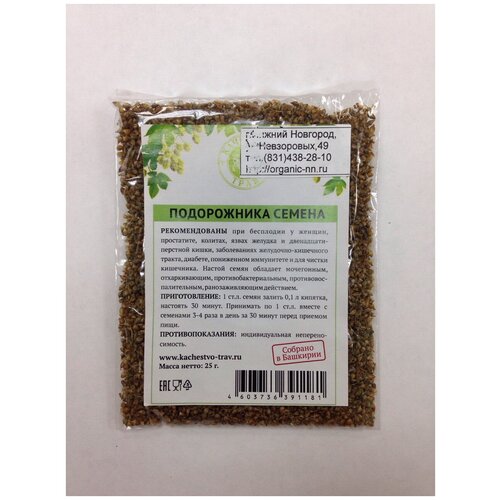  ,  25   (. Plantago)   -     , -, 