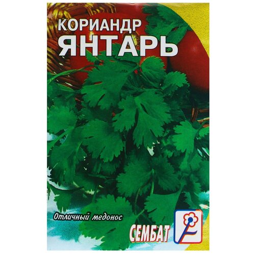 ���� ������ �������� 