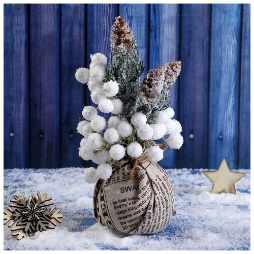 ���� ����� 