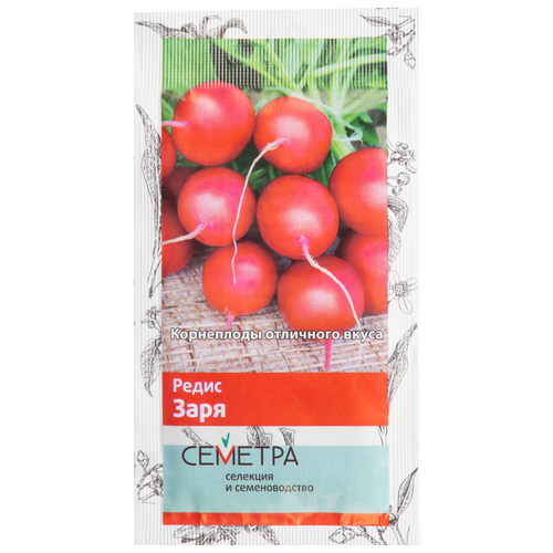 ���� ������ ����� �������, ����� ����, 3� ������ ������