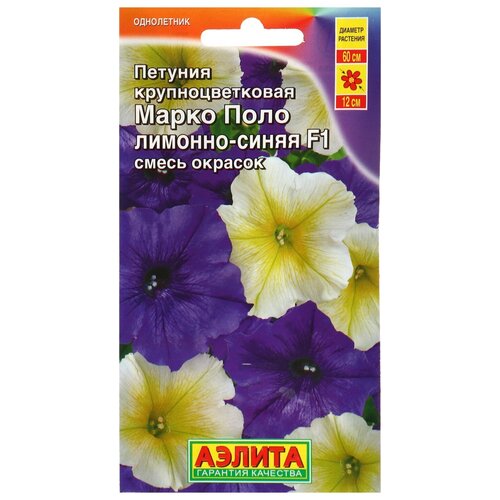 ���� ������ ������� 