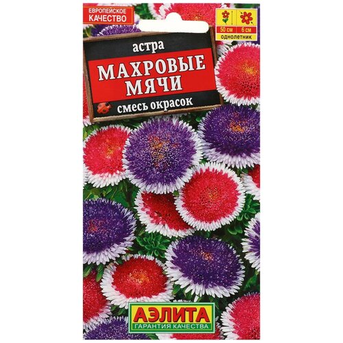 ���� ������ ������ ����� 