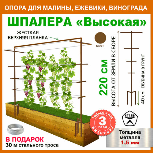 ���� �������, ����� ��� �������� ������ ������