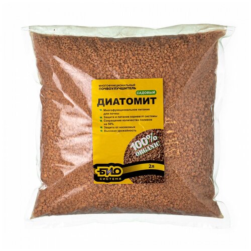 ���� ��������� 