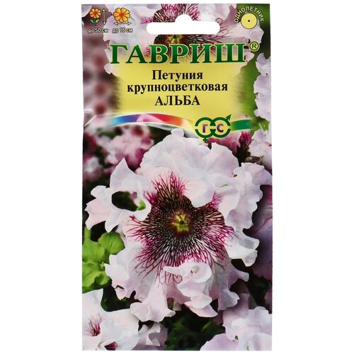 ���� ������ ������ ������� 