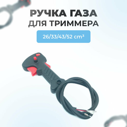 ���� ����� ���� ��� �������� ������ ������