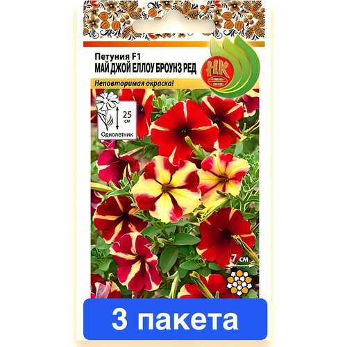 ���� ����� ������� ��� ���� ����� ����� ��� 3 ������ ������ ������