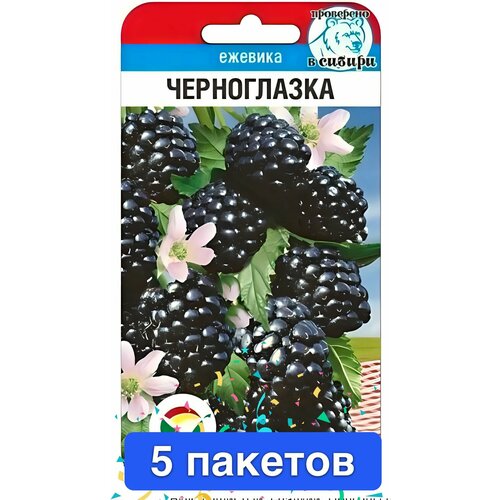 ���� ������ ������ ��������� ��� 