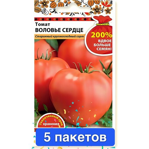 ���� ������ ������ ������� ������ 