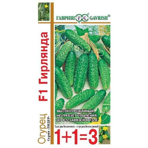 ���� ������ ������ �������� F1 20�� ������������������ ������ (������) 1+1 ������ ������