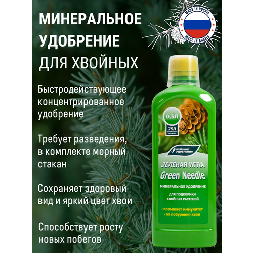 ���� ������ ����������������� ��������� 