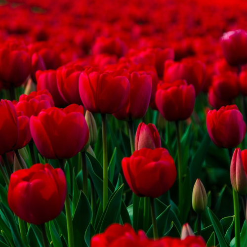 ���� �������� ��������� ������� ���� ( 10 �� ) ������ ������