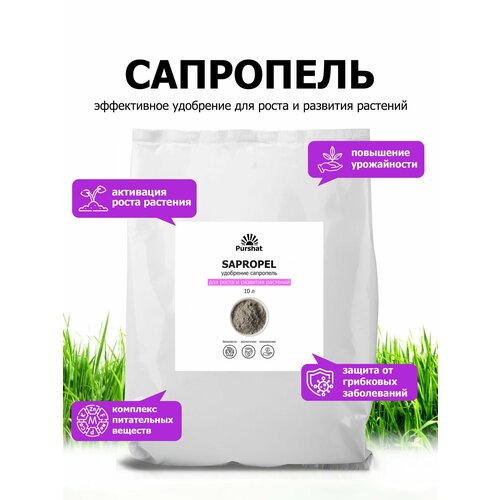 ���� ��������� ����� ������ ��������������� ��� ���������� ���������� ������ � ������. ������������ ���������, ��������������� (Purshat) 10 � ������ ������