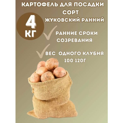 ���� ��������� �������� ��������� ������ 4 �� ������ ������