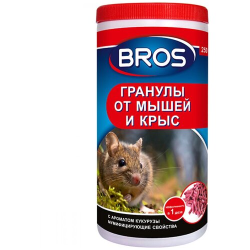 ���� BROS ������� �� ����� � ���� Bros, 250 �� ������ ������