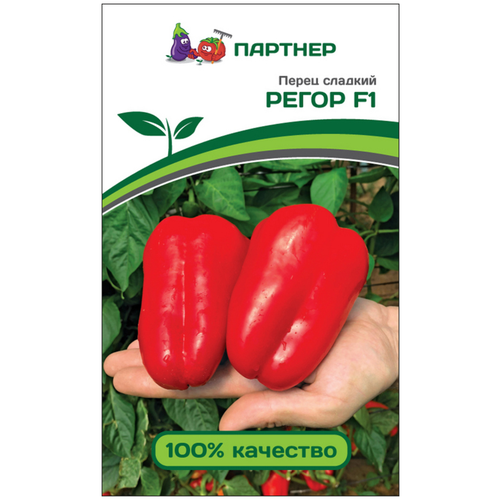 ���� ������ ����� ������� 