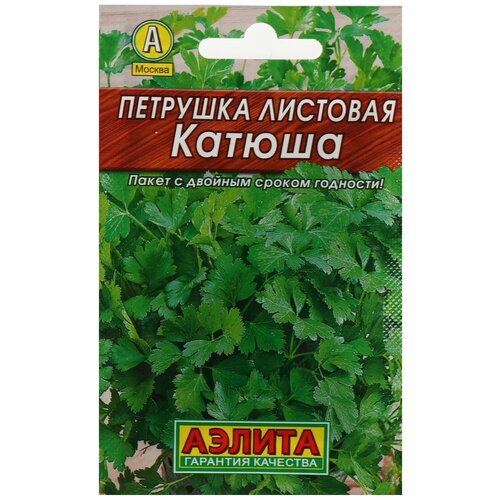 ���� ������ �������� �������� 