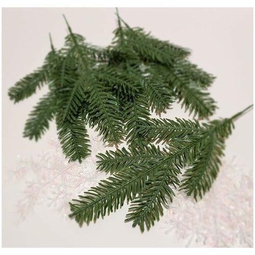 ���� ����� ������ 10 ��. �� ������������� ����� . �������� �������. ���� ������, 5 ��� ������ ����������. ������ 29 ��. ������ ������