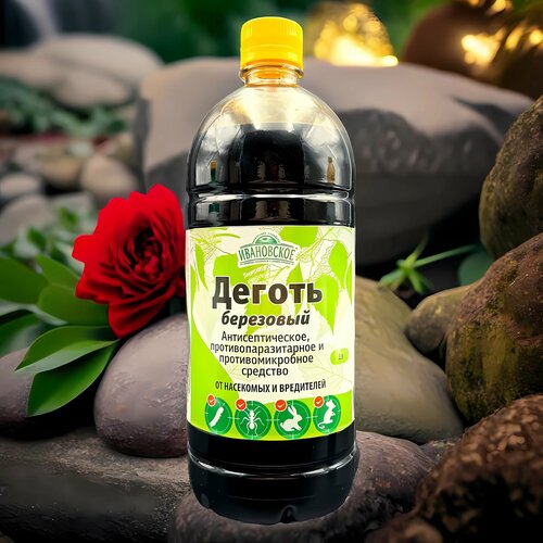 ���� ������ 1� / 1��. �� ���������� � ��������. ��� ������ ������