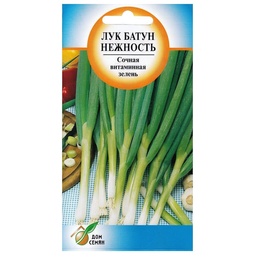 ���� ������ ��� ����� �������� 200�� ��� ����, ����, �������, ������� / ������� � �������� �������� ������ ������