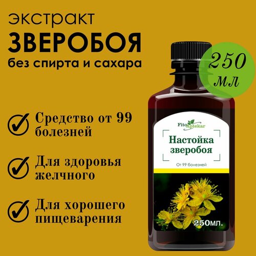 ���� �������� �������� 