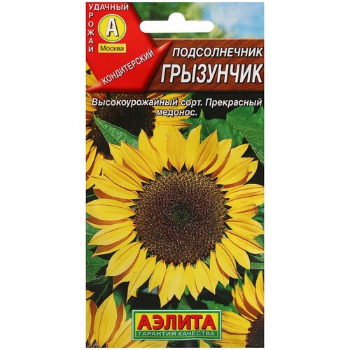 ���� ������ ��������� ������ ������������ ���������, 5 � ������ ������