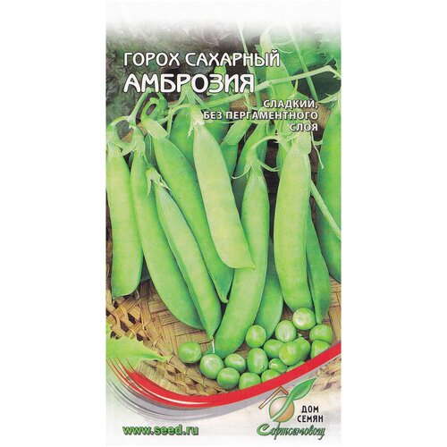 ���� ����� ������� �������� ��������, 50 ����� ������ ������