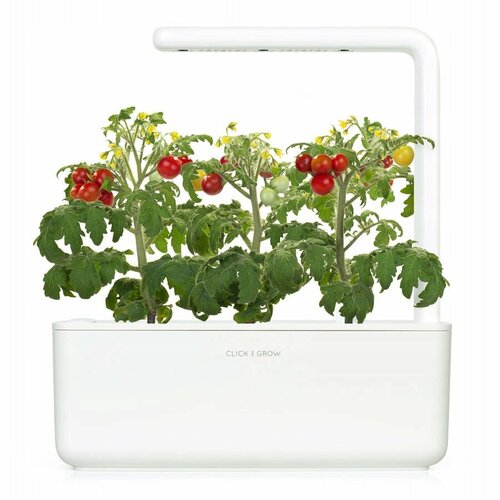  Click And Grow   Click And Grow Smart Garden 3   ()   -     , -, 