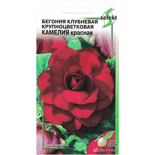 ���� ������ ��� ����� ������� ���������� 